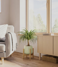 Load image into Gallery viewer, Turquoise stand:bamboo