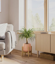 Load image into Gallery viewer, Calm Rose stand:bamboo