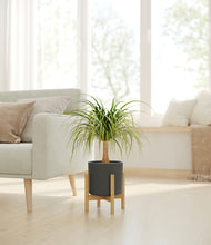 Load image into Gallery viewer, Dark Olive stand:bamboo