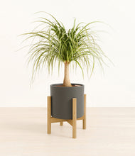Load image into Gallery viewer, Dark Olive stand:bamboo