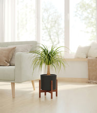 Load image into Gallery viewer, Black stand:walnut