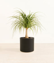 Load image into Gallery viewer, Black*****Profile