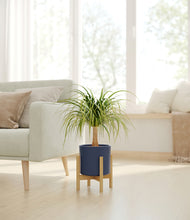 Load image into Gallery viewer, Deep Navy stand:bamboo