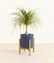 Load image into Gallery viewer, Deep Navy stand:bamboo