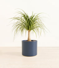 Load image into Gallery viewer, Deep Navy*****Profile