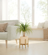 Load image into Gallery viewer, Cream stand:bamboo