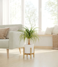 Load image into Gallery viewer, White stand:bamboo