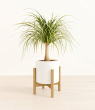 Load image into Gallery viewer, White stand:bamboo