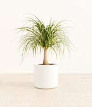 Load image into Gallery viewer, White*****Profile