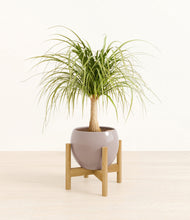 Load image into Gallery viewer, Winter Clouds stand:bamboo