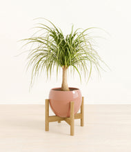 Load image into Gallery viewer, Calm Rose stand:bamboo