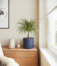 Load image into Gallery viewer, Deep Navy