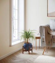 Load image into Gallery viewer, Deep Navy stand:walnut