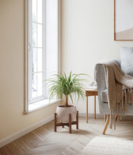 Load image into Gallery viewer, Desert Brown stand:walnut