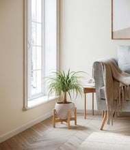 Load image into Gallery viewer, Desert Brown stand:bamboo