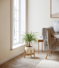 Load image into Gallery viewer, Shiny EggWhite stand:bamboo