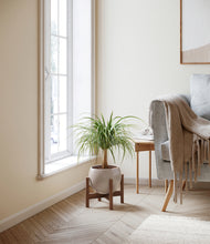 Load image into Gallery viewer, Winter Clouds stand:walnut