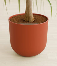 Load image into Gallery viewer, Earth Red stand:all