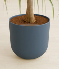 Load image into Gallery viewer, Iron Gray stand:all