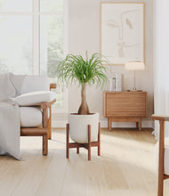 Load image into Gallery viewer, Natural Bamboo stand:walnut