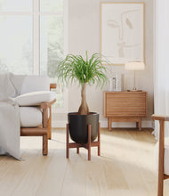 Load image into Gallery viewer, Stone Black stand:walnut