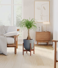 Load image into Gallery viewer, Iron Gray stand:walnut