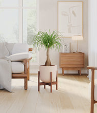 Load image into Gallery viewer, Sandy Pink stand:walnut