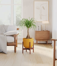 Load image into Gallery viewer, Sunset Orange stand:walnut