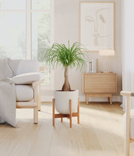 Load image into Gallery viewer, Natural Bamboo stand:bamboo