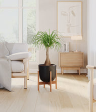 Load image into Gallery viewer, Stone Black stand:bamboo