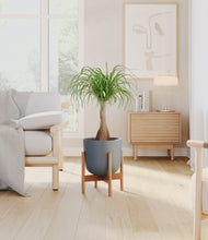 Load image into Gallery viewer, Iron Gray stand:bamboo