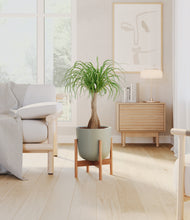 Load image into Gallery viewer, Sage Green stand:bamboo