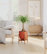 Load image into Gallery viewer, Earth Red stand:bamboo