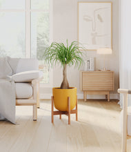 Load image into Gallery viewer, Sunset Orange stand:bamboo