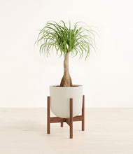 Load image into Gallery viewer, Natural Bamboo stand:walnut