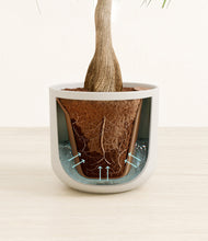 Load image into Gallery viewer, Natural Bamboo