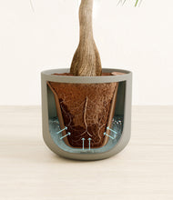 Load image into Gallery viewer, Sage Green