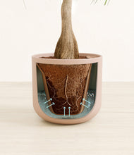 Load image into Gallery viewer, Sandy Pink