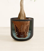 Load image into Gallery viewer, Stone Black