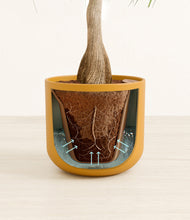 Load image into Gallery viewer, Sunset Orange