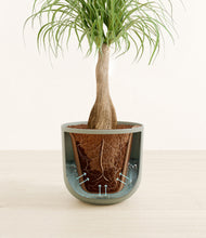 Load image into Gallery viewer, Sage Green stand:all