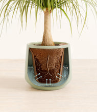 Load image into Gallery viewer, Turquoise stand:all