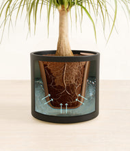 Load image into Gallery viewer, Black stand:all