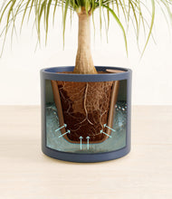 Load image into Gallery viewer, Deep Navy stand:all