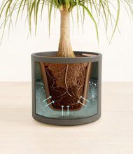 Load image into Gallery viewer, Dark Olive stand:all