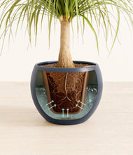 Load image into Gallery viewer, Deep Navy stand:all