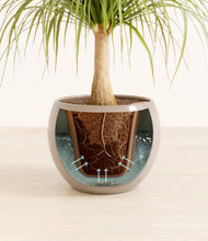 Load image into Gallery viewer, Desert Brown stand:all