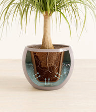 Load image into Gallery viewer, Winter Clouds stand:all