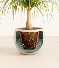 Load image into Gallery viewer, Shiny EggWhite stand:all