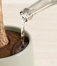 Load image into Gallery viewer, Turquoise stand:all